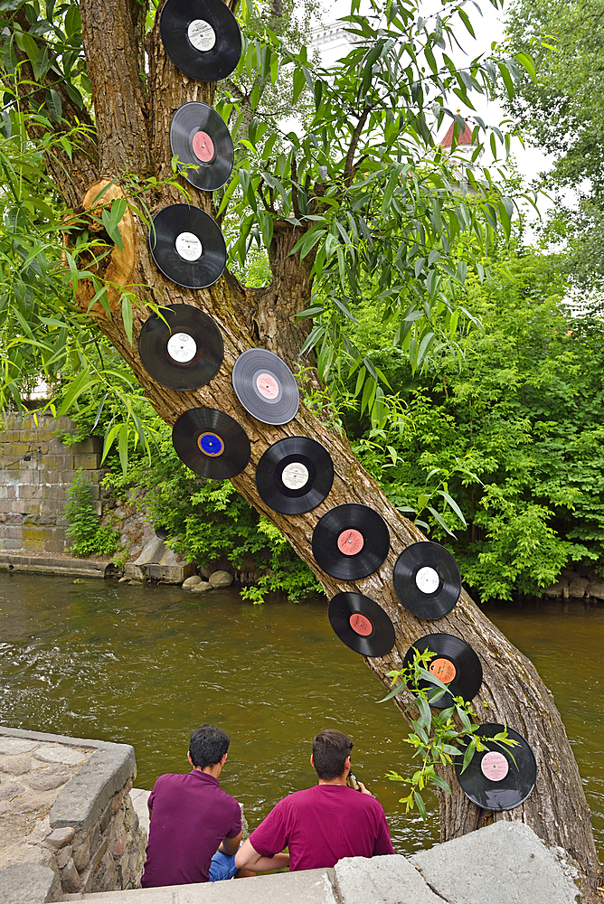 Vilnia River bank and tree decorated with vinyl records, in Uzupis district, Vilnius, Lithuania, Europe