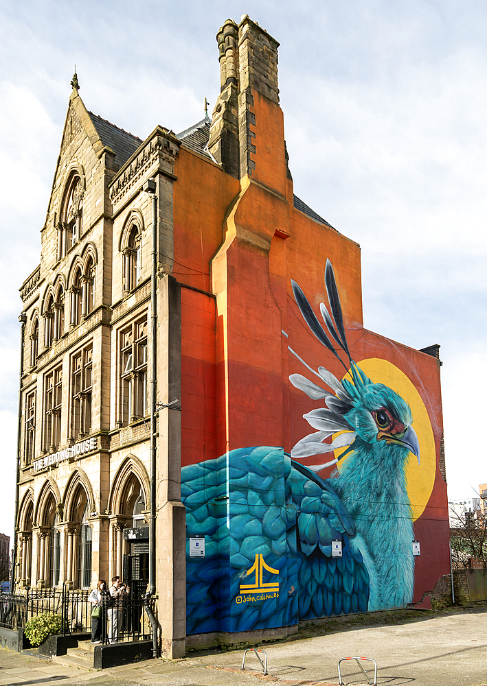 'Liver Bird' street art mural painted by Jon Culshaw, The Wedding House building, Great George Place, Liverpool, UK 2020