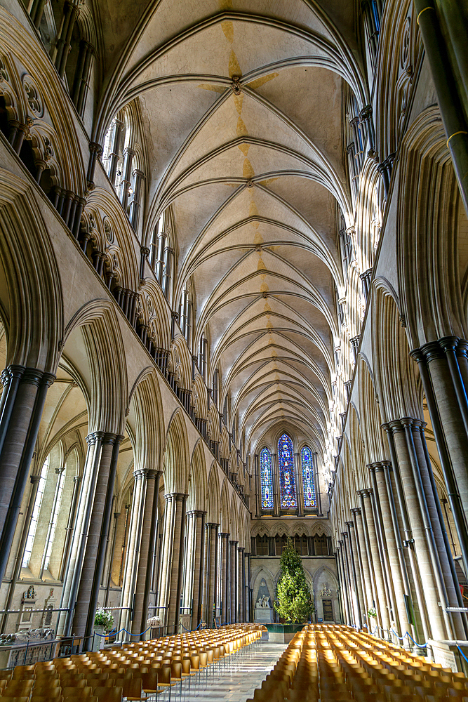 Vaulted nave ceiling roof inside Cathedral, Salisbury, Wiltshire, England, United Kingdom, Europe