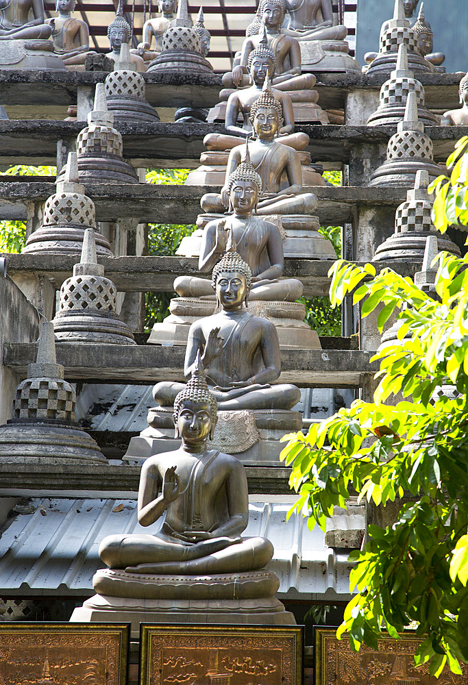 Buddha statues at Gangaramaya Buddhist Temple, Colombo, Sri Lanka, Asia