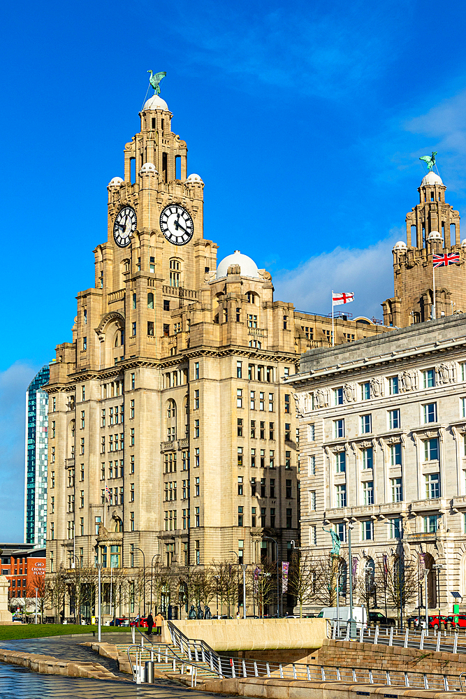 Historic Royal Liver Building with clock tower under blue sky with clouds, Liverpool, Merseyside, England, United Kingdom, Europe