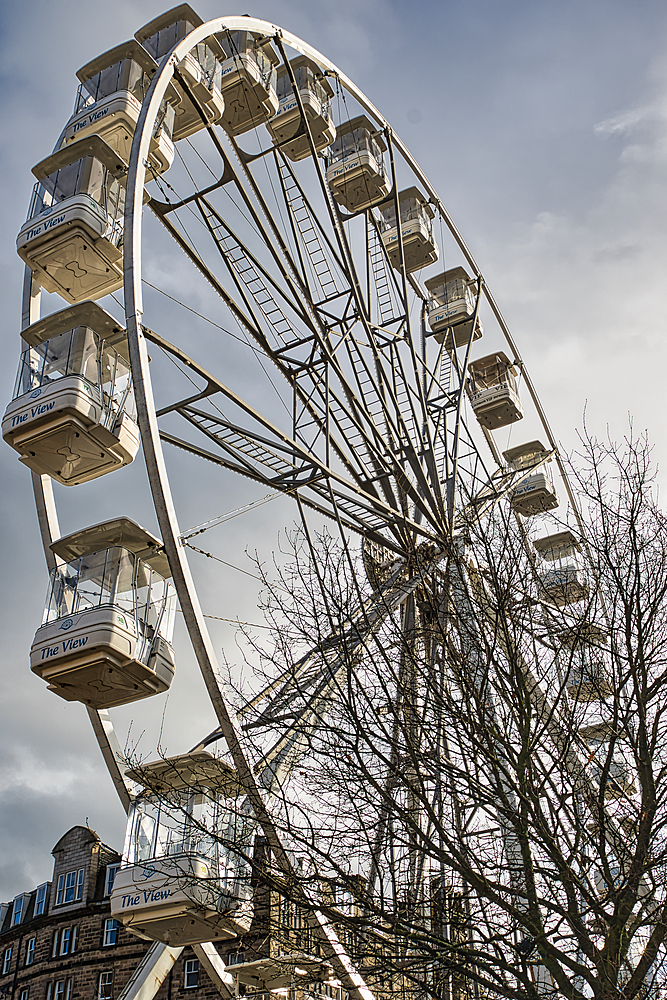 A Ferris wheel, 'The View,' with off-white gondolas is partially obscured by a bare tree against a cloudy sky. The wheel's metal structure is prominent. A building is visible in the bottom left.