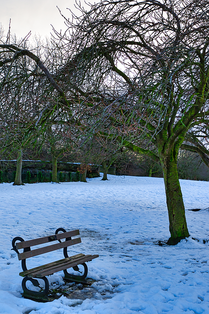 A snow-covered park scene features a wooden park bench beneath a leafless tree. Other bare trees are visible in the background, along with a low stone wall. The scene is lightly dusted with snow in Harrogate, UK.