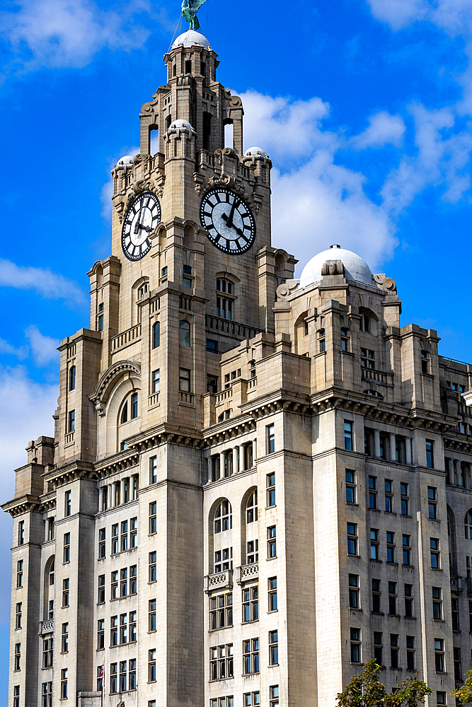A grand, ornate stone building with two prominent clocks against a bright blue sky with scattered clouds. Architectural details include domes, arches, and balconies in Liverpool, UK.