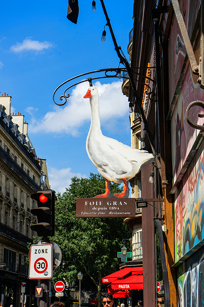 Goose sign