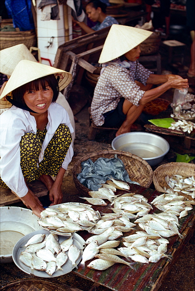 Women in straw hats selling fish in the Cai River fish market in the town of Hoi An, Danang, Vietnam, Indochina, Southeast Asia, Asia