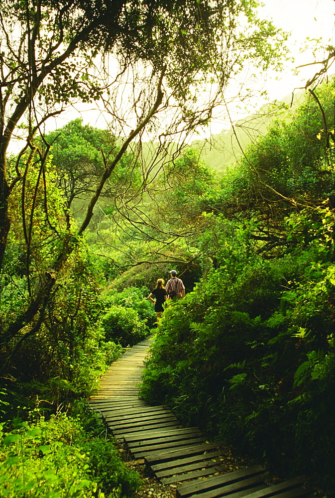 Otter Trail, Tsitsikamma, South Africa, Africa