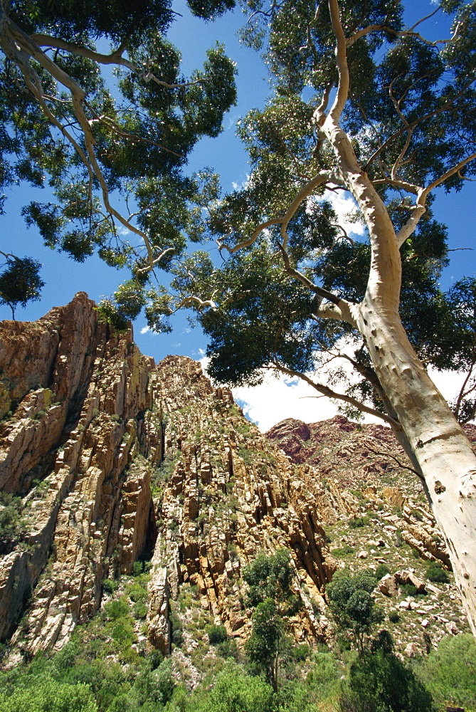 Swartberg Pass rock formation, Central Karoo, Western Cape, South Africa, Africa