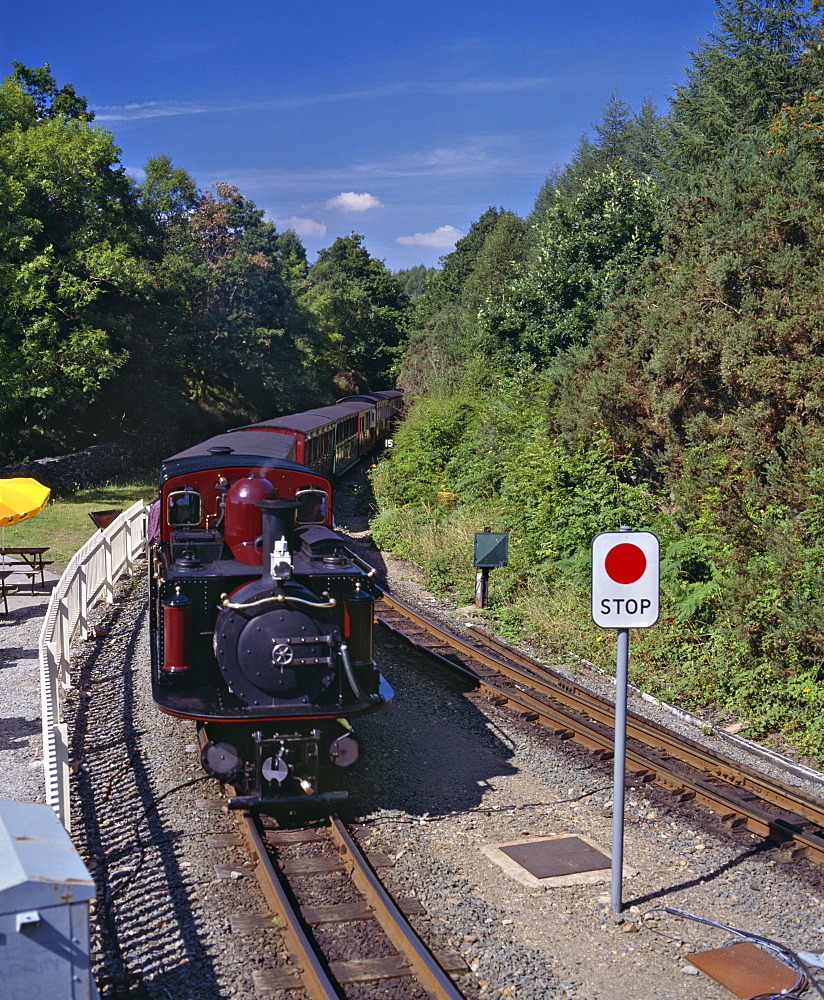 Ffestiniog Railway at Tan-y-Bwlch, the busiest of the North Wales narrow gauge railways, opened in 1836 to carry slate from Blaenau Ffestiniog to the coast, the first steam engines replaced horse power in 1863, Wales, United Kingdom, Europe