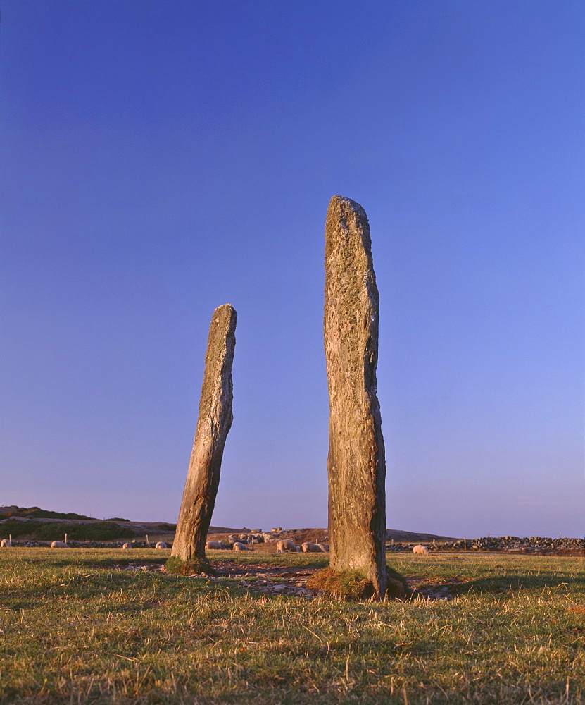 Penrhos Feilw standing stones, 3m high and 3.3m apart, probably erected in the early Bronze Age between 2000 and 1500BC, Anglesey, Gwynedd, North Wales, United Kingdom, Europe