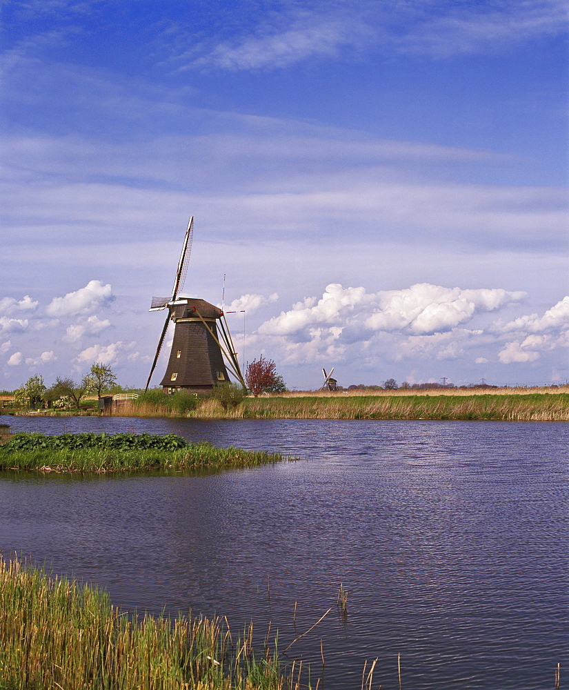 Windmill at Kinderdijk, UNESCO World Heritage Site, near Rotterdam, Netherlands, Europe