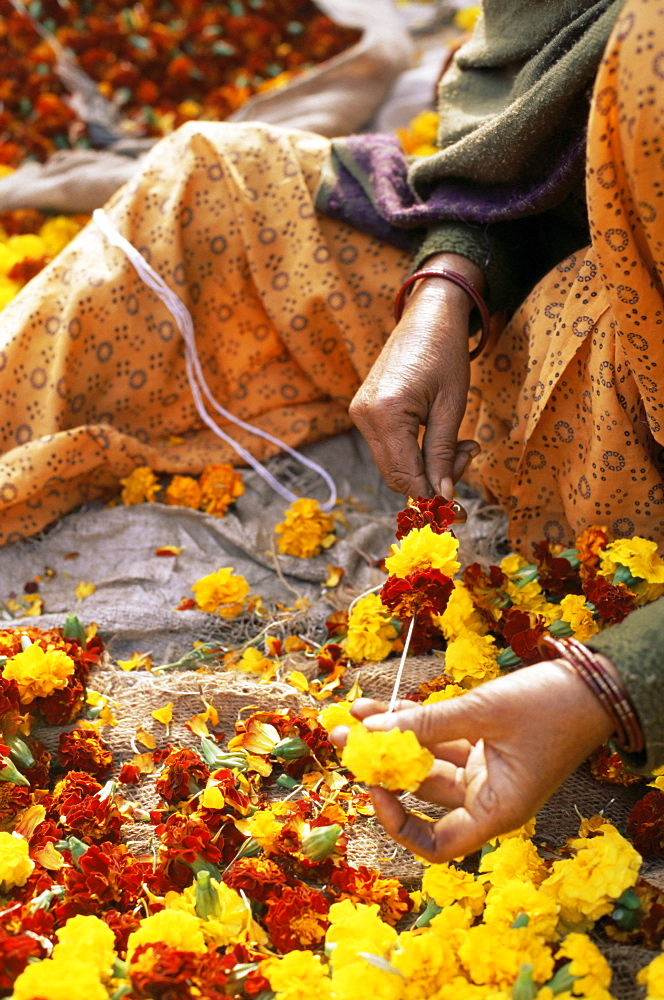 Flower market, Lado Sarai, Delhi, India, Asia