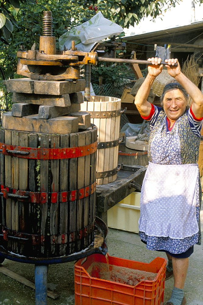 A local winemaker pressing her grapes at the cantina, Torano Nuovo, Abruzzi, Italy, Europe