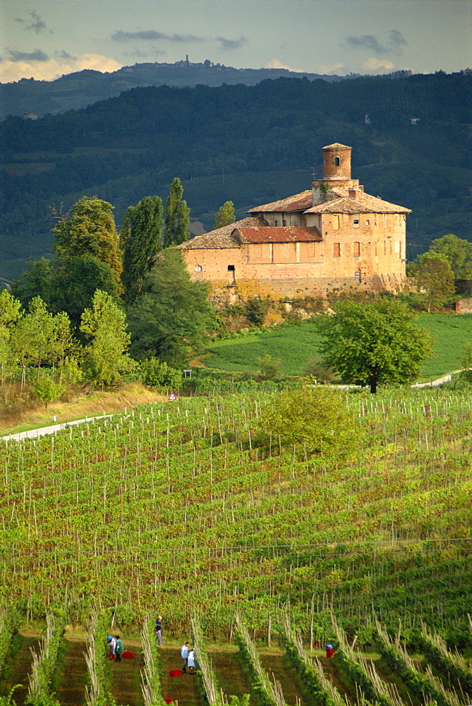 An ancient fortified wine cantina, Tenuta la Volta, near Barolo, Piemonte, Italy, Europe