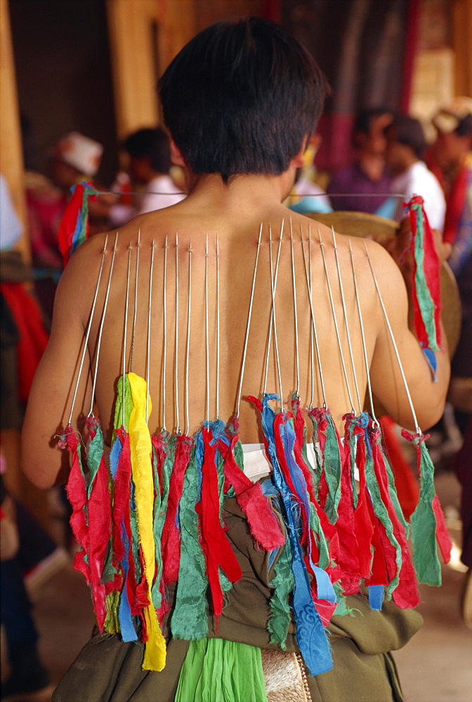 Back of a Tibetan man with needles inserted into skin in manhood rites in Qinghai Province, China, Asia