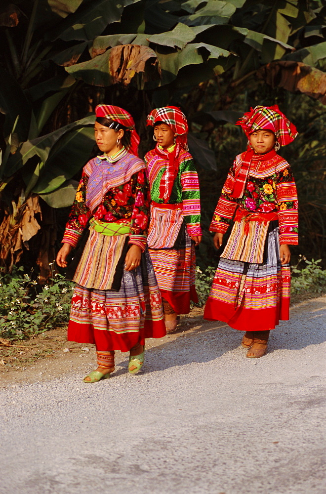 Group of three Flower Hmong women in traditional dress, south of Sapa, North Vietnam, Vietnam, Indochina, Southeast Asia, Asia