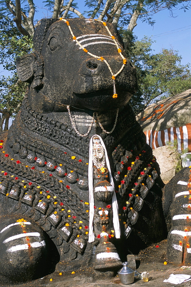 Nandi bull statue, Chamundi Hills, Karnataka, India, Asia