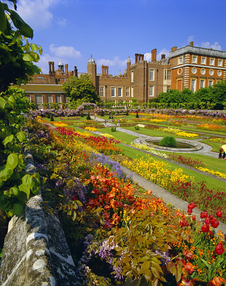 Sunken Gardens (King William and Queen Mary), the origin of the English nursery rhyme 'Mary Mary Quite Contrary', Hampton Court Palace, Hampton Court, London, England, UK