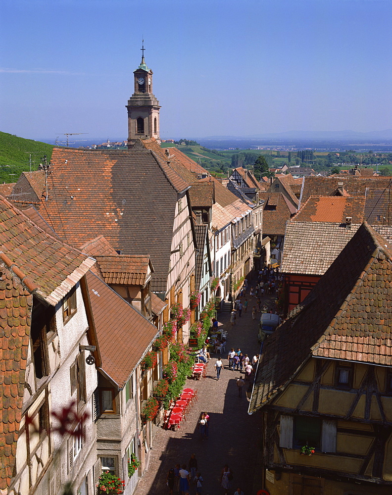 Old 16th and 17th century houses of wine-growers, Riquewihr, Alsace, France, Europe