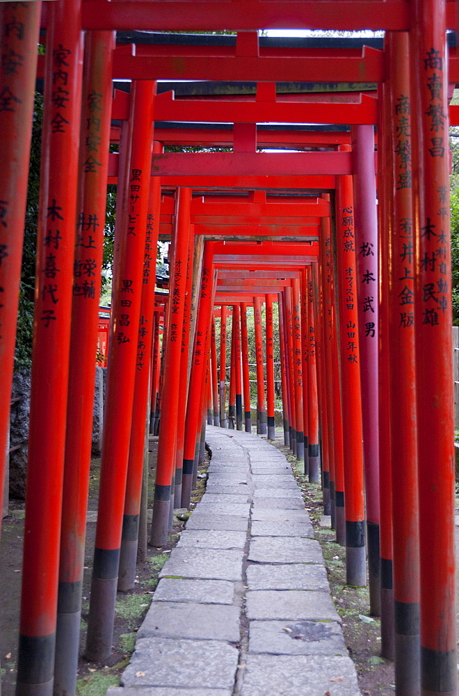 Torii at the Nezu-jinja Shrine, Tokyo, Japan, Asia