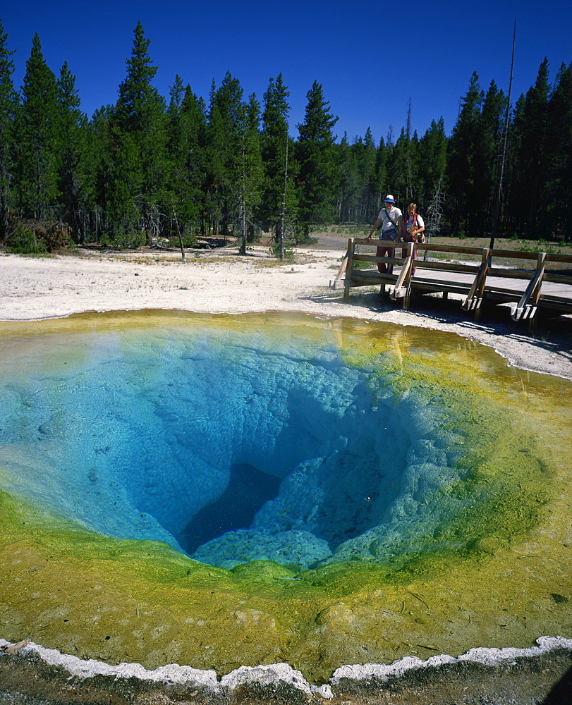 Tourists viewing the Morning Glory Pool, Yellowstone National Park, UNESCO World Heritage Site, Wyoming, United States of America, North America