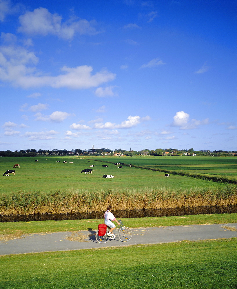 Cycling on the island of Schiermonnikoog, Friesland, Holland (The Netherlands), Europe