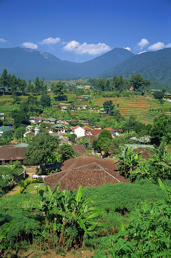 The mountain resort of Puncak on Java, Indonesia, Southeast Asia, Asia