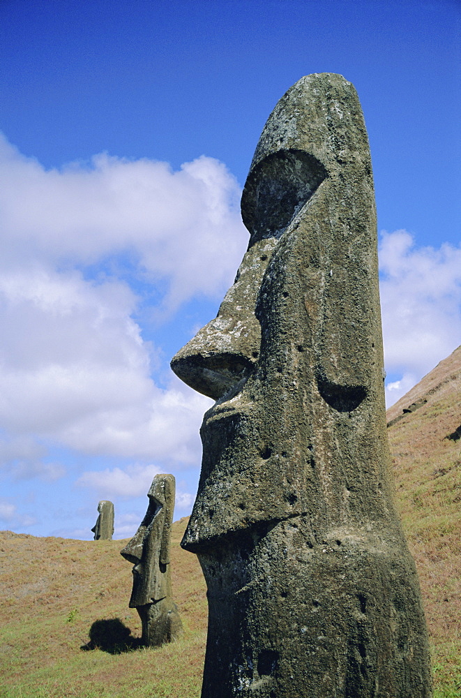 Unfinished heads on outer south slopes of the crater, Rano Raraku, Easter Island, Chile