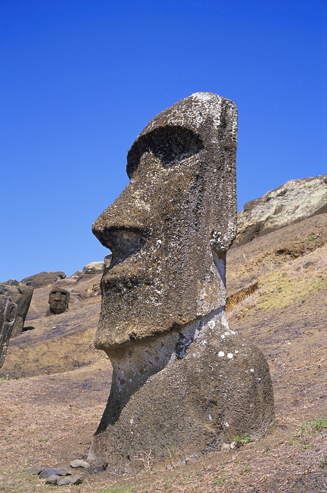 Rano Raraku, moai on inner slopes of volcanic crater, Easter Island, Chile, Pacific