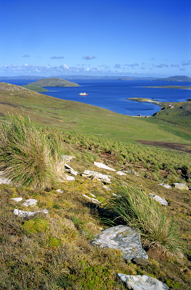 Landscape on New Island looking down to settlement and tourist ship in the bay, on West Falkland in the Falkland Islands, South Atlantic, South America