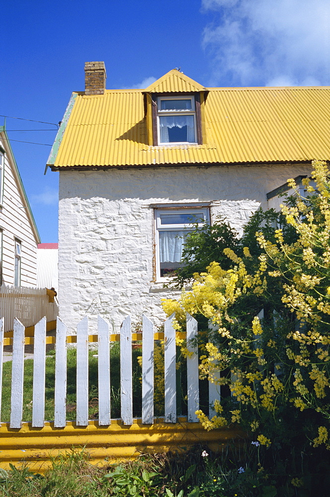 Typical house, with yellow corrugated roof and white stone walls and fence, in Stanley, capital of the Falkland Islands, South America