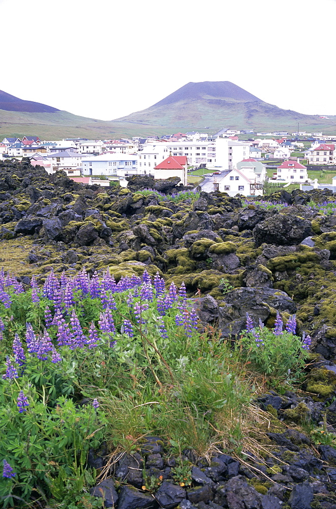 Lava from 1973 eruption in foreground, island of Heimaey, Westmann Islands, Iceland, Polar Regions