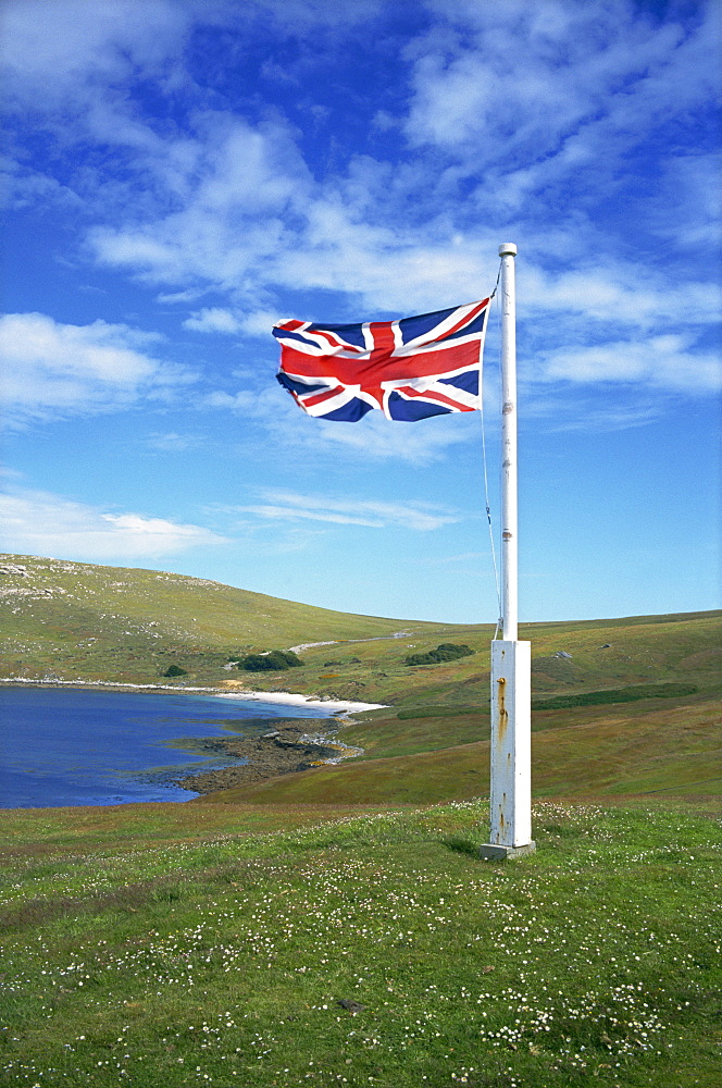 West Falkland, Westpoint Island, Falkland Islands, South America