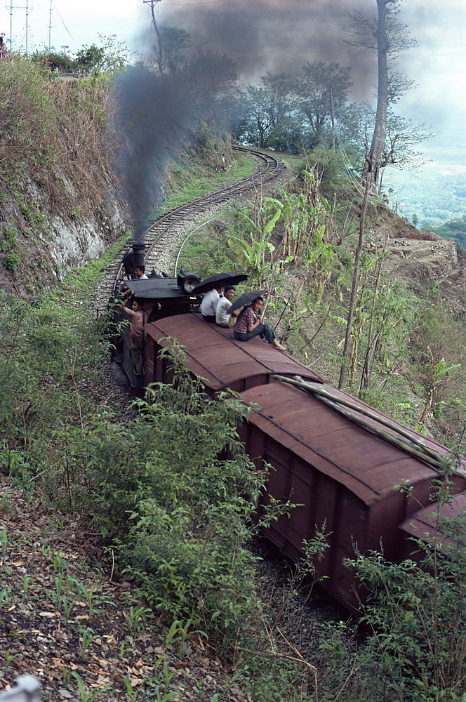 Steam train on the way to Darjeeling, West Bengal state, India, Asia