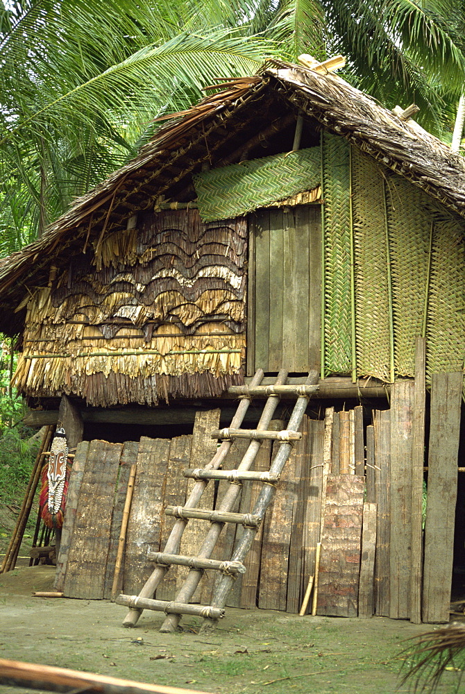 Traditional house with ladder to door, Papua New Guinea, Pacific Islands, Pacific