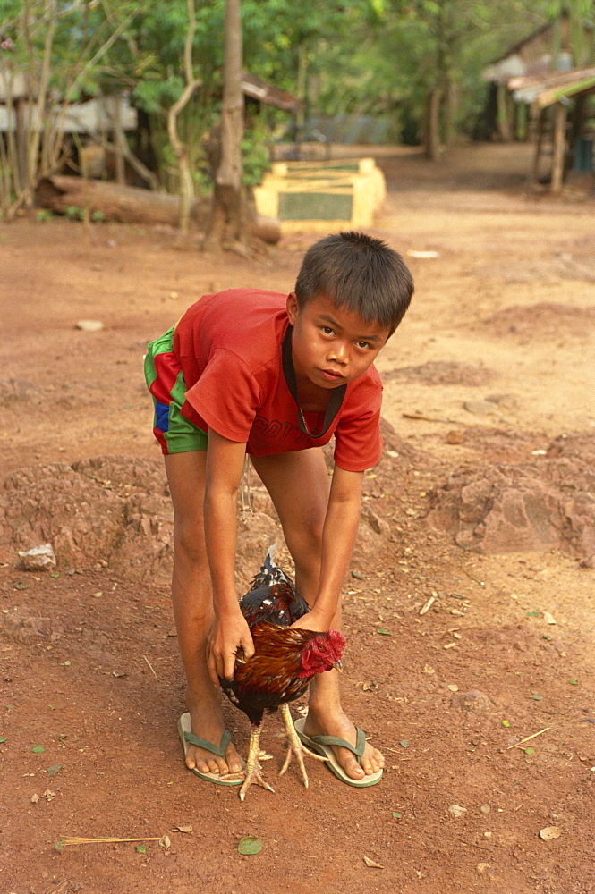 Child with chicken, Luang Prabang, Laos, Indochina, Southeast Asia, Asia