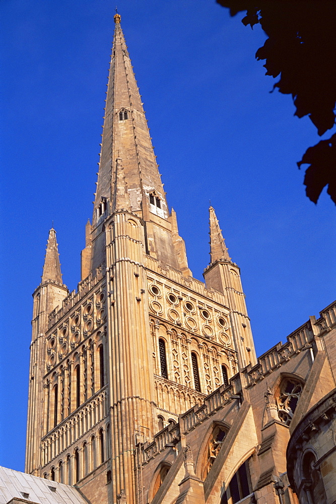 Norwich cathedral, tower dating from 11th century, with 15th century spire, Norwich, Norfolk, England, United Kingdom, Europe