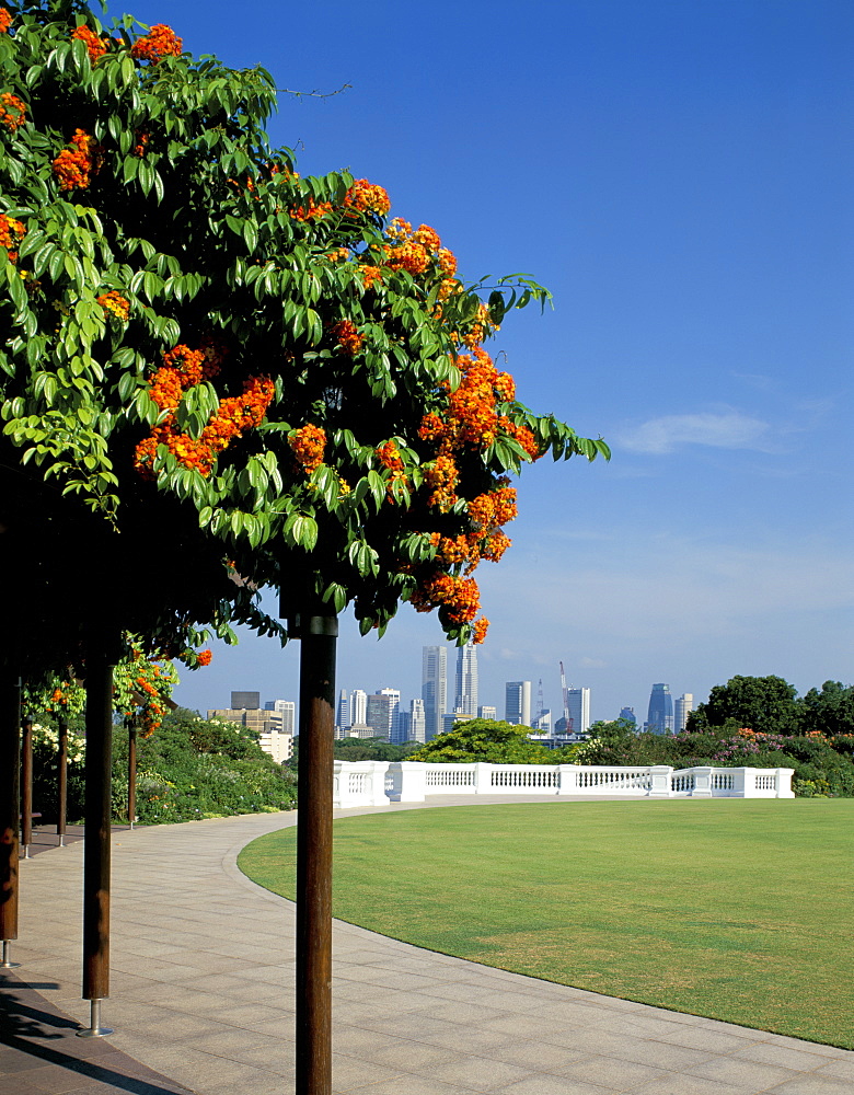 View of the city, Singapore, Southeast Asia, Asia