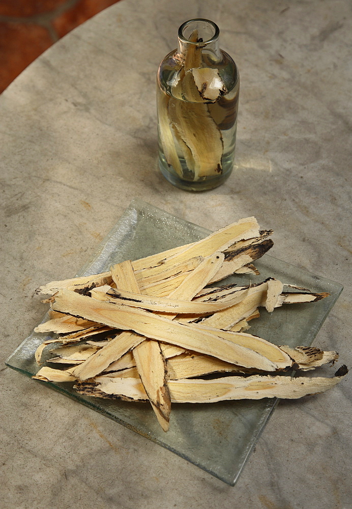 Astragalus, used to protect and support the immune system