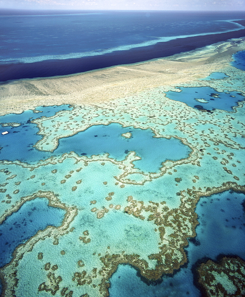 Great Barrier Reef, UNESCO World Heritage Site, Queensland, Australia, Pacific