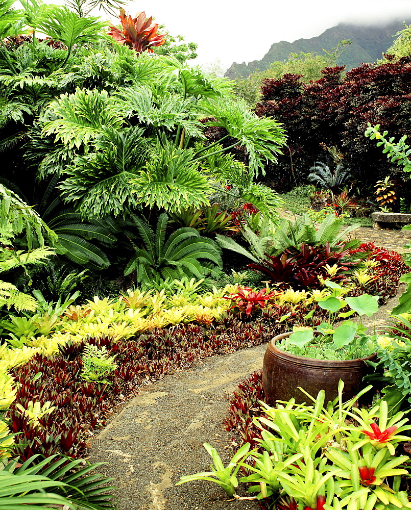 Leland Miyanoi Garden in Oahu, Hawaii, United States of America, Pacific