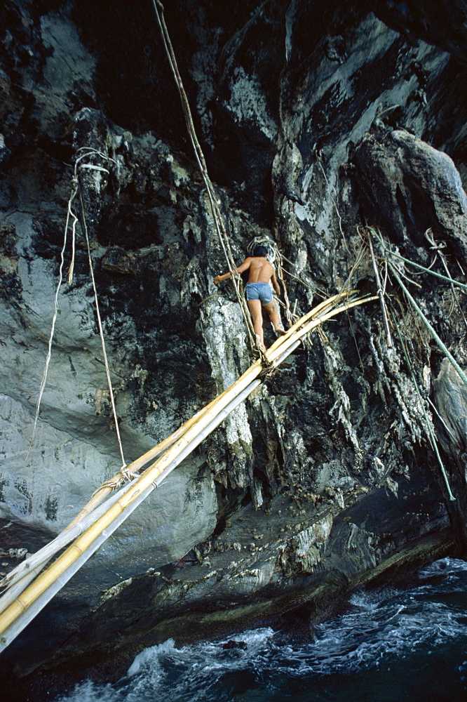 Sea gipsy on a bamboo bridge going to collect birds nests used in soups, in Thailand, Southeast Asia, Asia