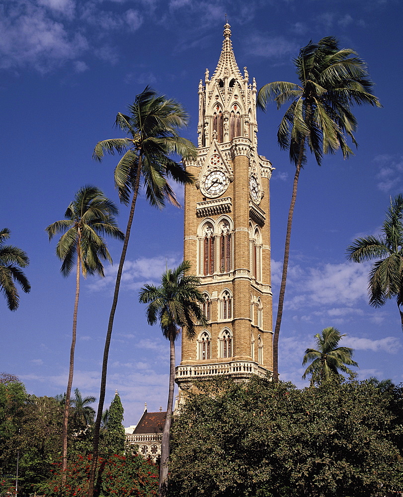 University clocktower, Mumbai, India, Asia