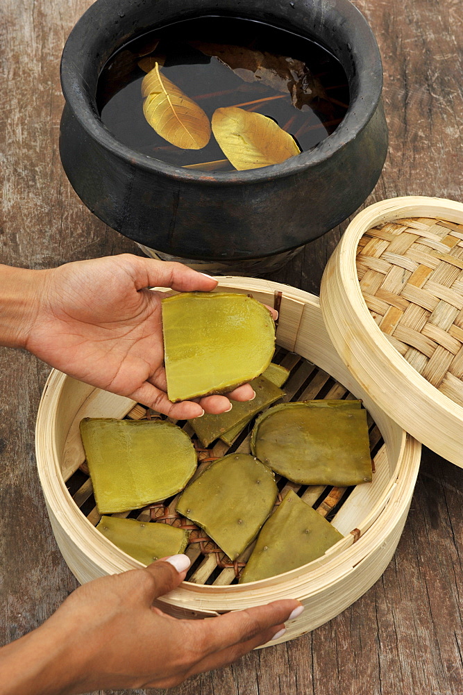 Hot cactus body glow, Nurture Spa, Tagaytay, Philippines, Southeast Asia, Asia