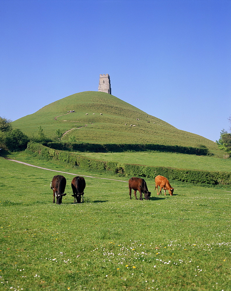 Glastonbury Tor, Somerset, England, United Kingdom, Europe