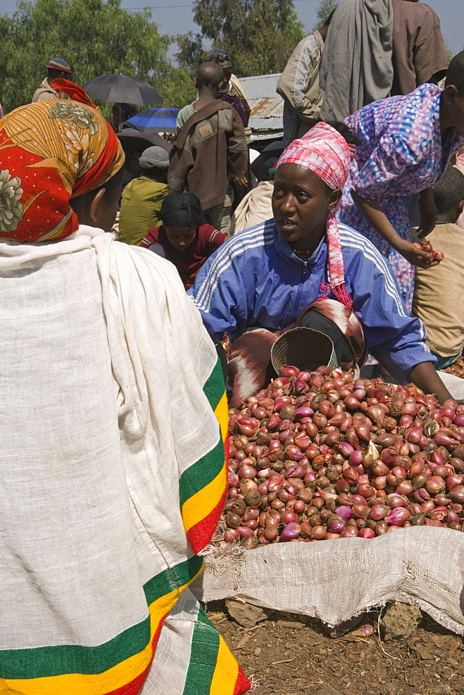 People walk for days to trade in this famous weekly market, Saturday market in Lalibela, Lalibela, Ethiopia, Africa