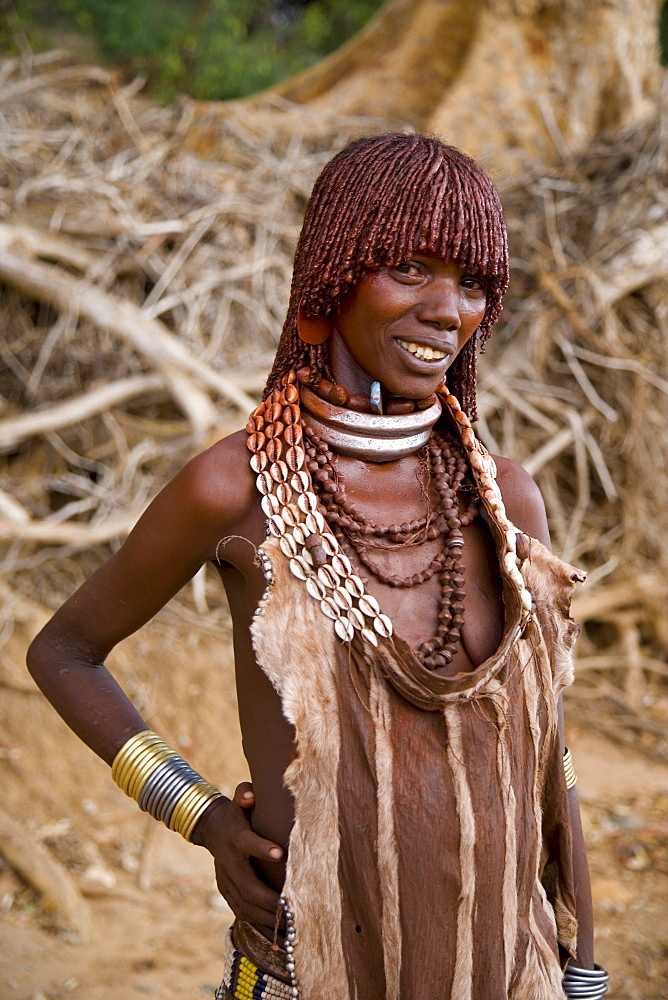 Portrait of a Hamer woman with goscha (ochre and resin hair tresses), Hamer Tribe, Lower Omo Valley, southern area, Ethiopia, Africa