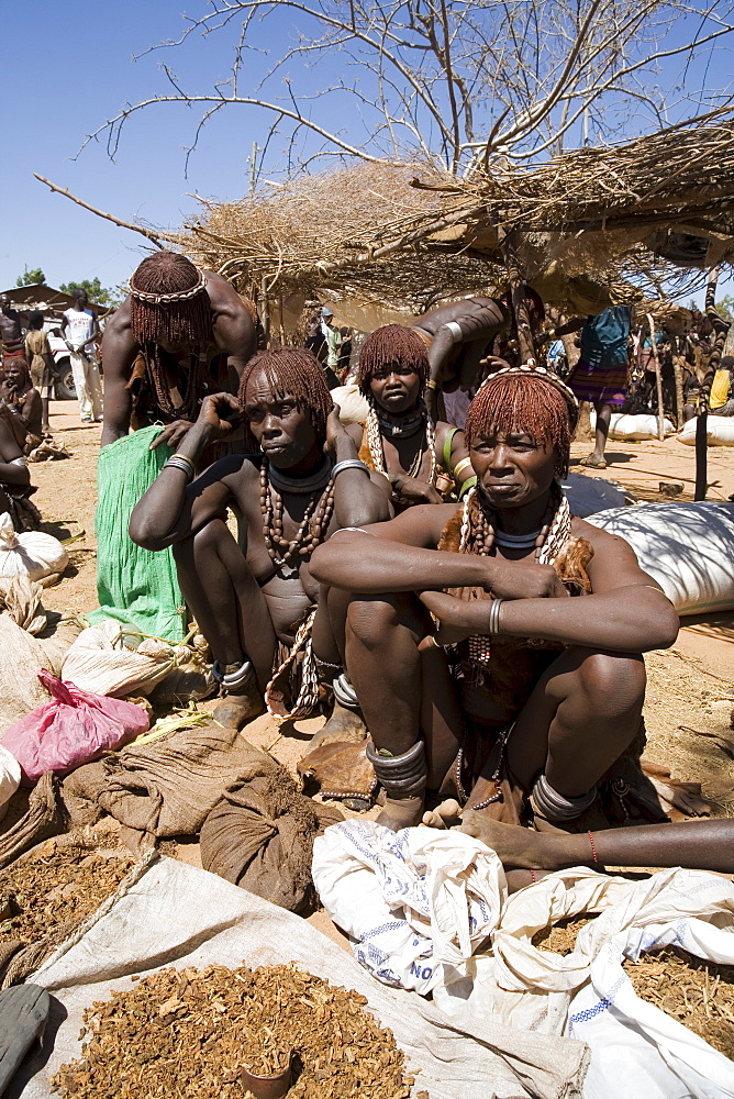 Women of the Hamer tribe, their hair treated with ochre, water and resin and twisted into tresses known as goscha, Lower Omo Valley, southern Ethiopia, Ethiopia, Africa