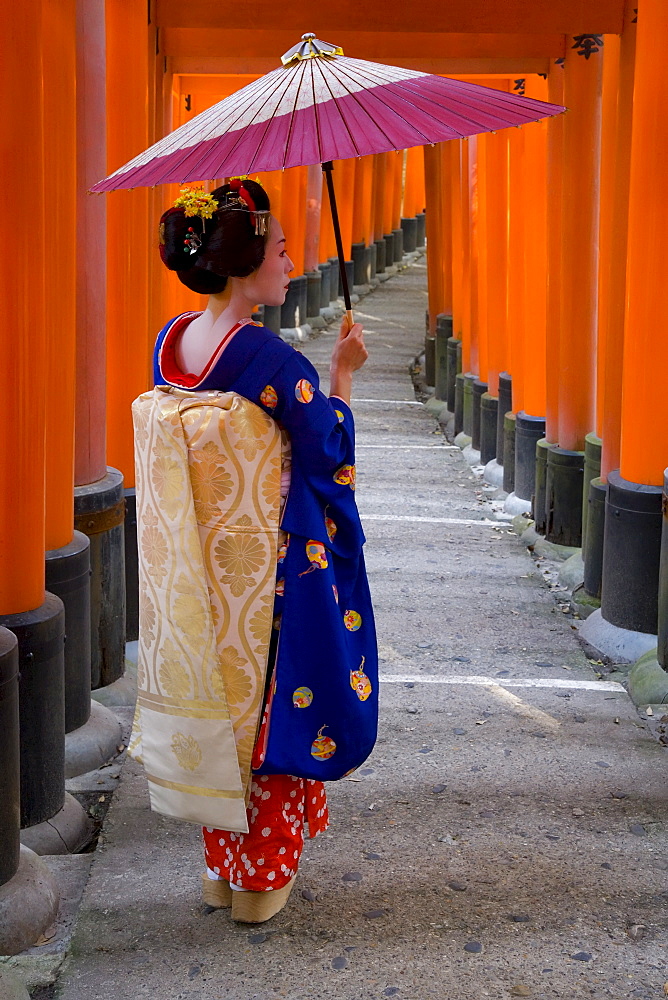 Portrait of a geisha holding an ornate umbrella at Fushimi-Inari Taisha shrine, which is lined with hundreds of red torii gates, Kyoto, Kansai region, Honshu, Japan, Asia