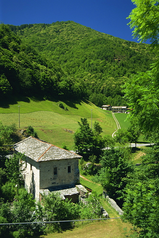 Houses and fields in the Pesio Valley near Certosa di Pesio in Piedmont, Italy, Europe